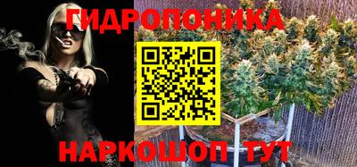 ПСИЛОЦИБИНОВЫЕ ГРИБЫ Ликино-Дулёво