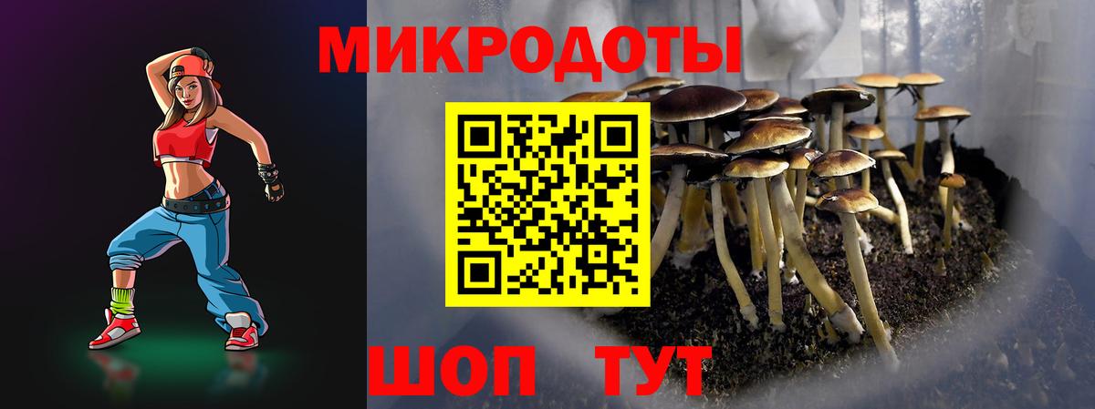 Псилоцибиновые грибы ЛСД Хабаровск
